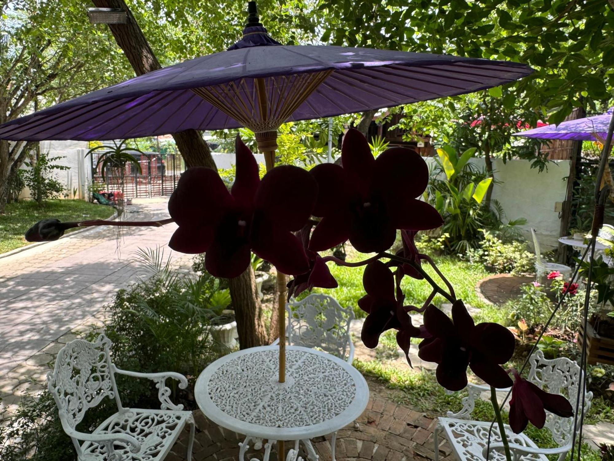 Chiang Mai Las Orquideas Resort Екстер'єр фото