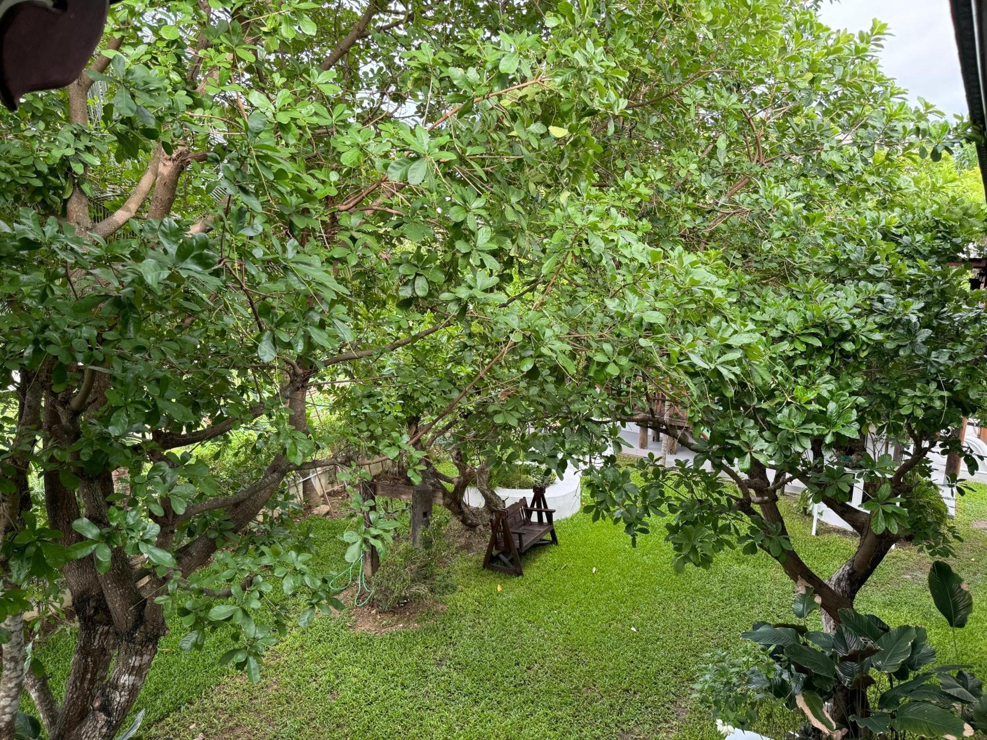 Chiang Mai Las Orquideas Resort Екстер'єр фото
